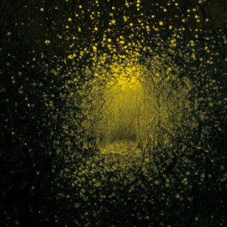 The Antlers - Burst Apart album cover