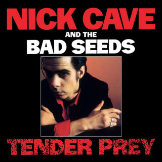 Nick Cave & The Bad Seeds - Tender Prey album cover