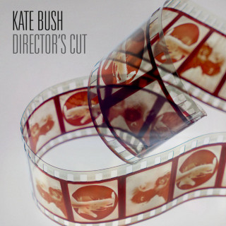 Kate Bush - Director's Cut album cover