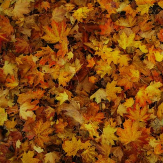 Childish Gambino - EP EP cover
