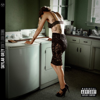 Skylar Grey - Don't Look Down album cover
