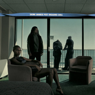 Skunk Anansie - Post Orgasmic Chill album cover