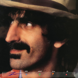 Frank Zappa - You Are What You Is album cover