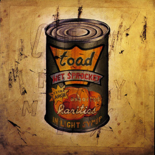 Toad The Wet Sprocket - In Light Syrup compilation cover