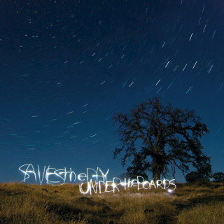 Saves The Day - Under The Boards album cover