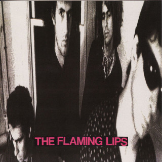 The Flaming Lips - In A Priest Driven Ambulance album cover
