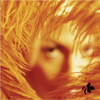 Stone Temple Pilots - Shangri-La Dee Da album cover