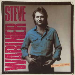 Steve Wariner - Down In Tennessee album cover
