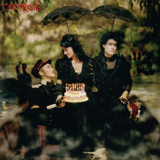 CocoRosie - The Adventures Of Ghosthorse And Stillborn album cover