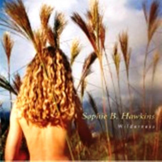 Sophie B. Hawkins - Wilderness album cover