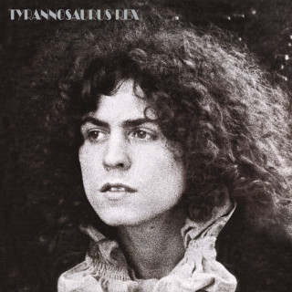 T. Rex - A Beard Of Stars album cover
