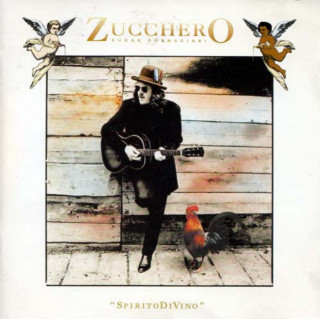 Zucchero - Spirito Divino - Stray Cat In A Mad Dog City album cover