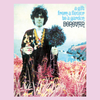Donovan - A Gift From A Flower To A Garden album cover
