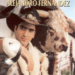 Alejandro Fernandez - Alejandro Fernández album cover