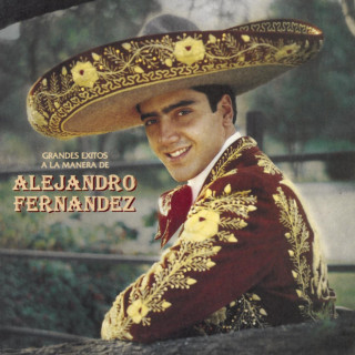 Alejandro Fernandez - Grandes Exitos A La Manera De Alejandro Fernández album cover