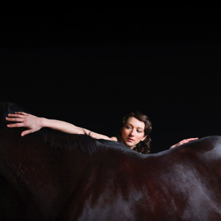 My Brightest Diamond - Bring Me The Workhorse album cover