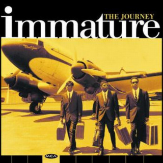 Immature - Journey album cover