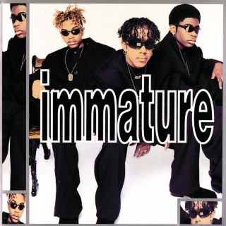 Immature - We Got It album cover