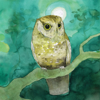 Sleeping At Last - Storyboards album cover
