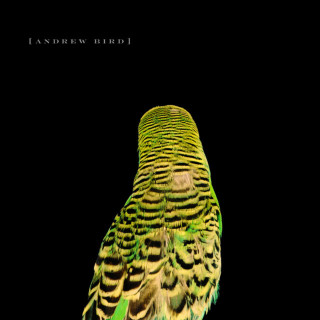 Andrew Bird - Armchair Apocrypha album cover