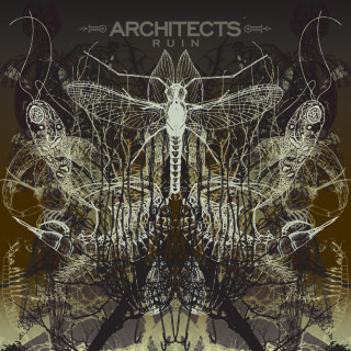 Architects - Ruin album cover