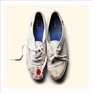 Sleigh Bells - Reign Of Terror album cover