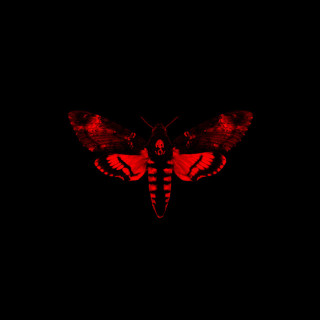 Lil Wayne - I Am Not A Human Being II album cover