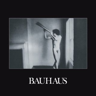 Bauhaus - In The Flat Field album cover