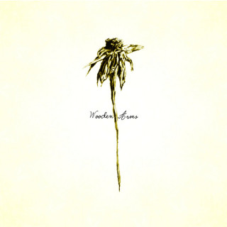 Patrick Watson - Wooden Arms album cover