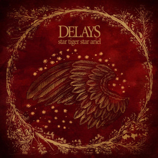 Delays - Star Tiger, Star Ariel album cover