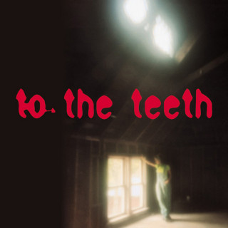 Ani DiFranco - To The Teeth album cover