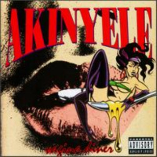 Akinyele - Vagina Diner album cover