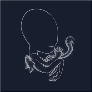 Sigur Rós - Ágætis Byrjun album cover