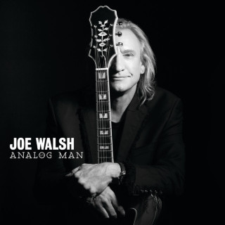 Joe Walsh - Analog Man album cover