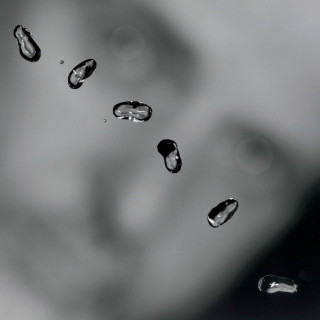 Peter Gabriel - Up album cover
