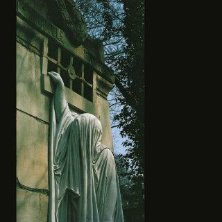 Dead Can Dance - Within The Realm Of A Dying Sun album cover