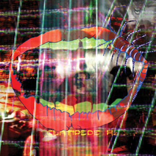 Animal Collective - Centipede Hz album cover