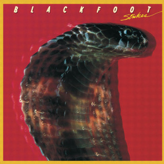 Blackfoot - Strikes album cover