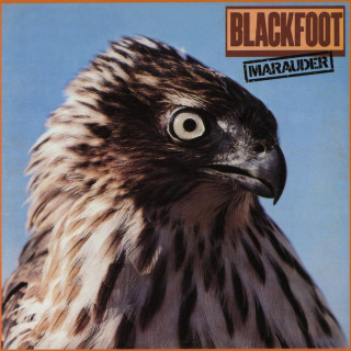 Blackfoot - Marauder album cover