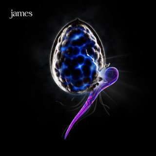 James - The Night Before album cover