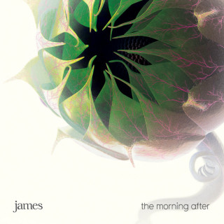 James - The Morning After album cover