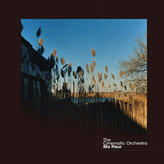 The Cinematic Orchestra - Ma Fleur album cover
