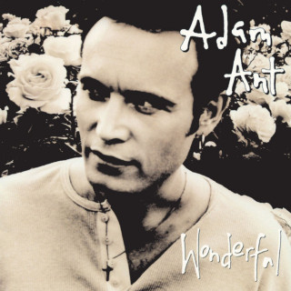 Adam Ant - Wonderful album cover