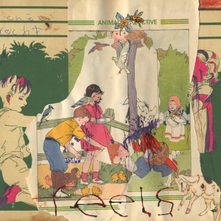 Animal Collective - Feels album cover