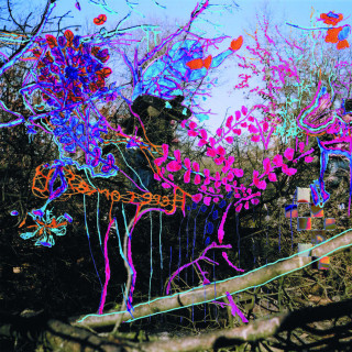 Animal Collective - Ark (Here Comes The Indian) album cover