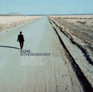 Echo & The Bunnymen - What Are You Going To Do With Your Life? album cover