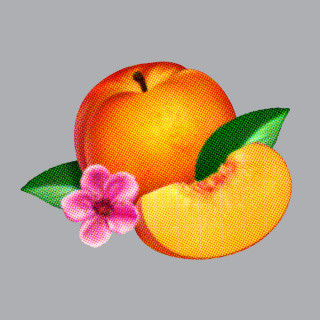 Phoenix - Bankrupt! album cover