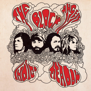 The Black Angels - Indigo Meadow album cover