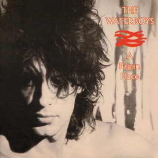 The Waterboys - A Pagan Place album cover