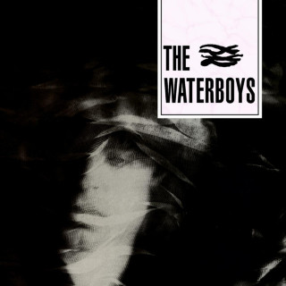 The Waterboys - The Waterboys album cover